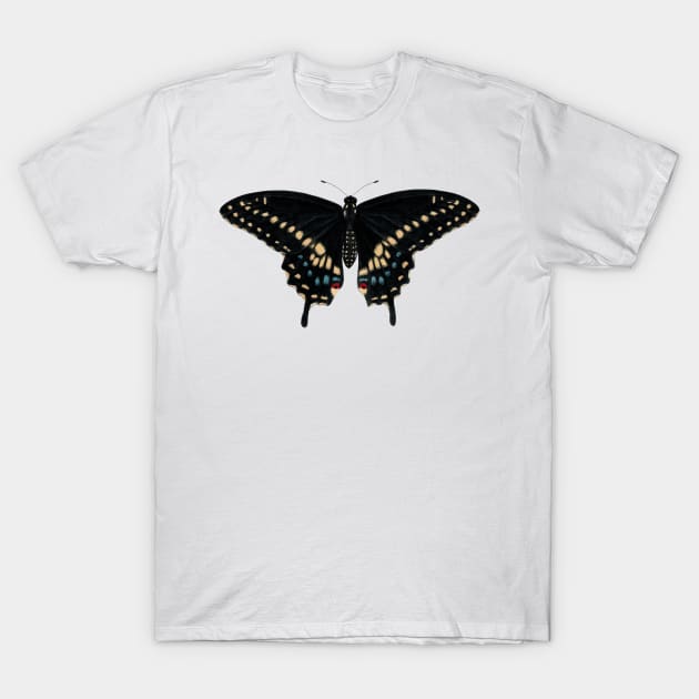 Black Swallowtail T-Shirt by JadaFitch